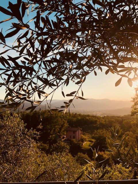 La Trigola Hotell La Spezia Eksteriør bilde